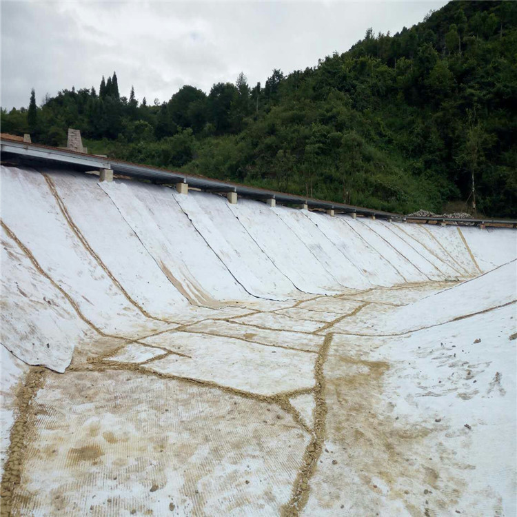 天然钠基膨润土防水毯